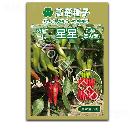 ����-�����N��-���ڷN��