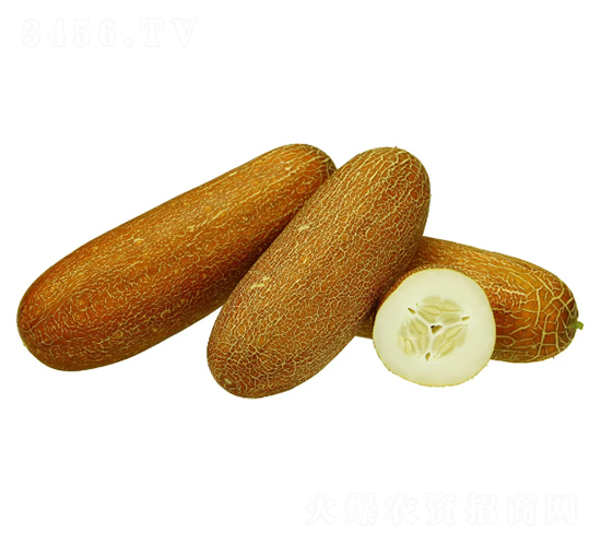 �����-���S�ϷN��-���ڷN��