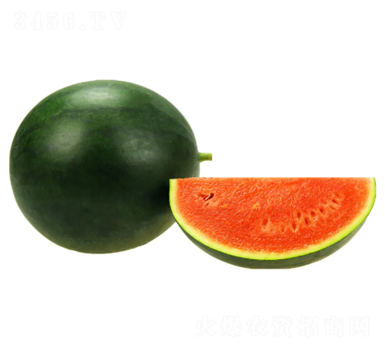 ���B(ni��o)-���ϷN��-���ڷN��