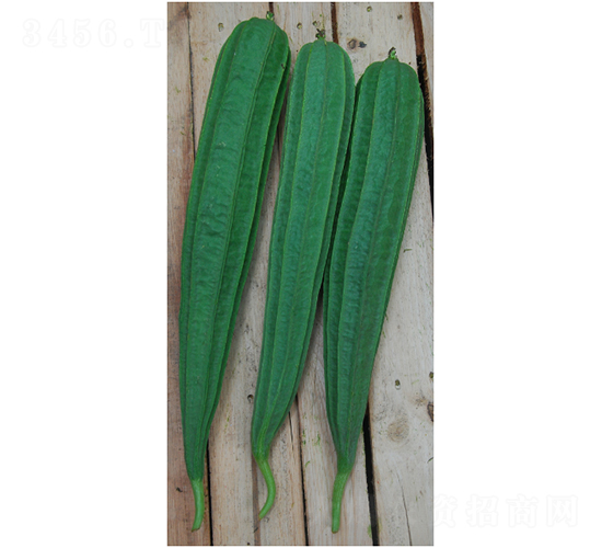 �۾G-�z�ϷN��-���ڷN��