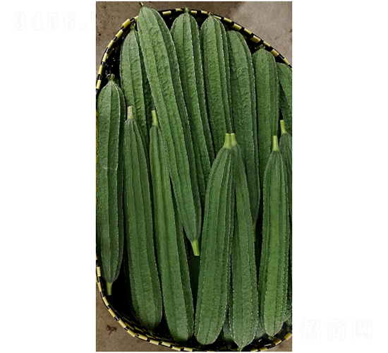 �A��-�z�ϷN��-���ڷN��