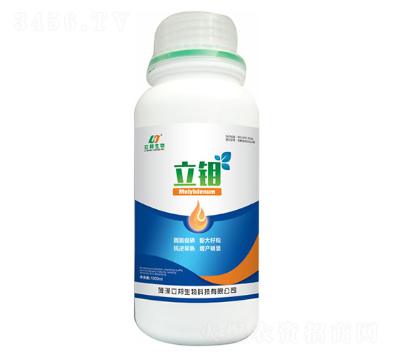 ���f-��������