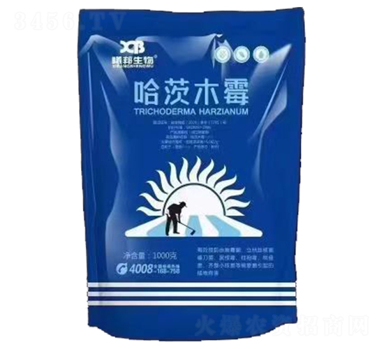 ����ľù΢�������-�ذ�����