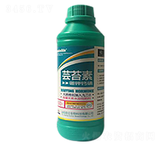 �|̦��-��(��i)���_(d��)