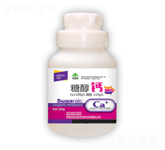 �Ǵ��}-�|���S