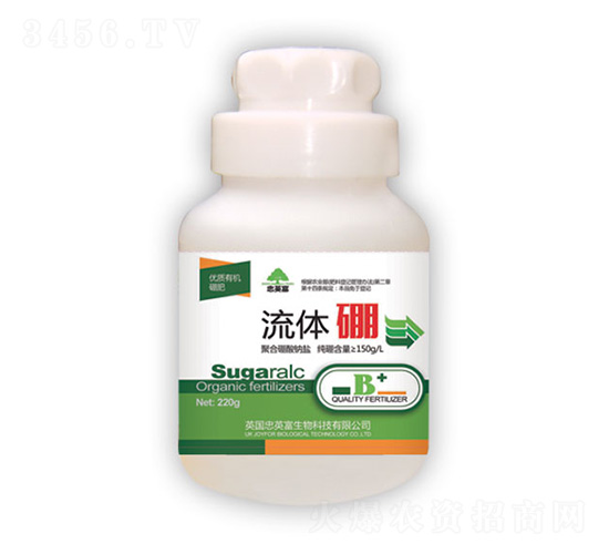 ���w��-�|���S