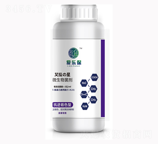 ������ɫ��΢�������-�����