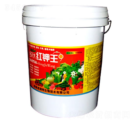 ���ļt���-�|���S