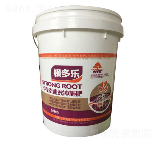 ������-�|���S