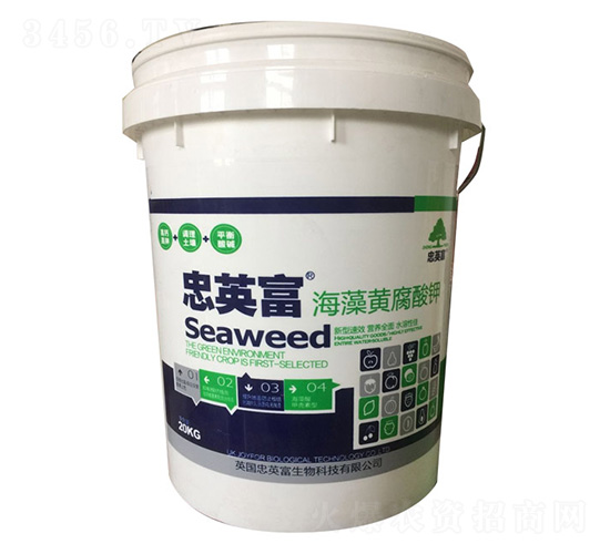 �����S�����-�|���S