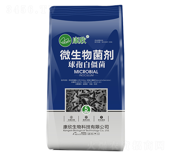 ΢�������-���߰׽���-��������