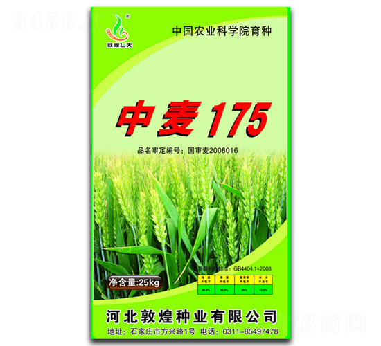 ����175-С���N��-�ػͷN�I(y��)