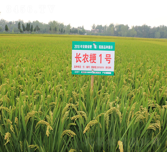 �L�r(n��ng)��1̖(h��o)-ˮ���N��-��N�I(y��)