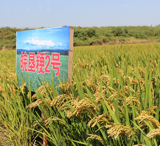 ���2̖-ˮ���N��-��N�I(y��)