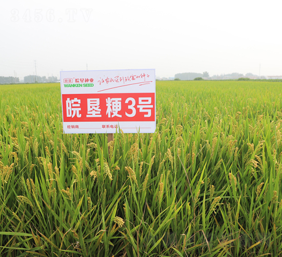 ���3̖-ˮ���N��-��N�I(y��)