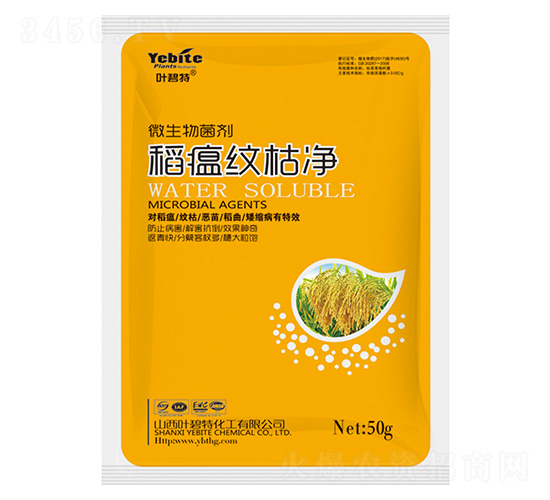 �����y�݃�-�~����