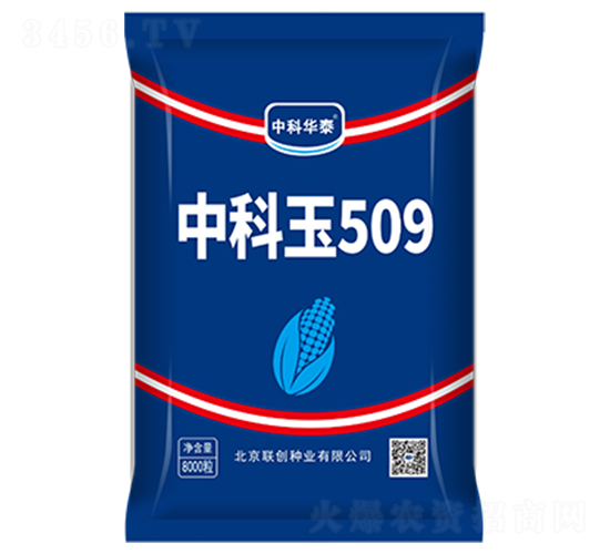 �п���509-���׷N��-(li��n)��(chu��ng)�N�I(y��)