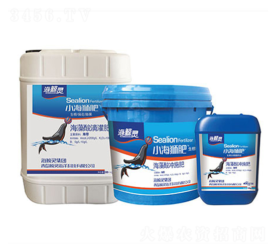 ������ι��-С���{��-���L�`