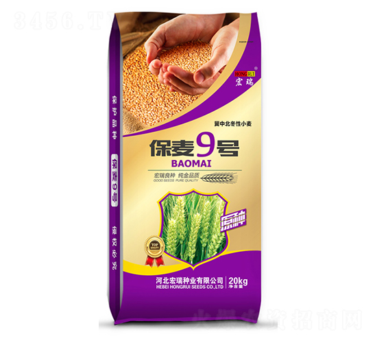 ����9̖-С���N��-����N�I(y��)