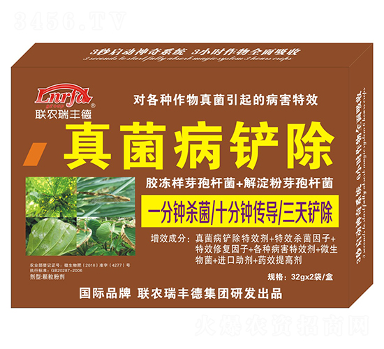 ΢�����-������P��-���S��