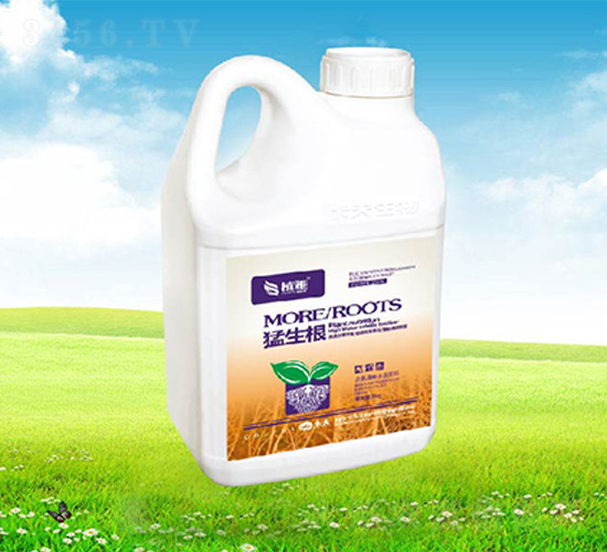 ������-����