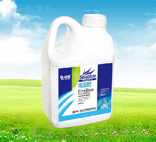 �����-����