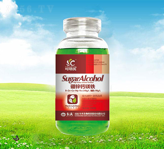 300�����\�}�V�F-������(y��u)-����