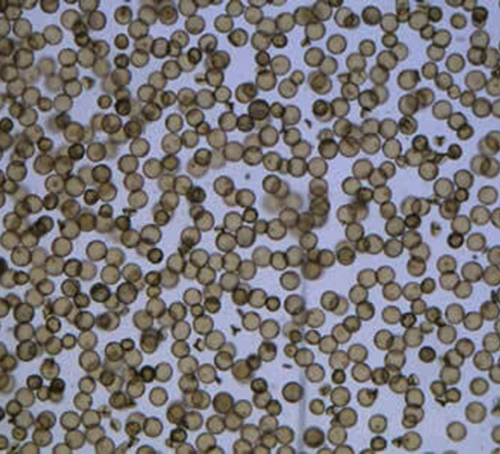 ��ɏ1A-ˮ���N��-�t��N�I(y��)