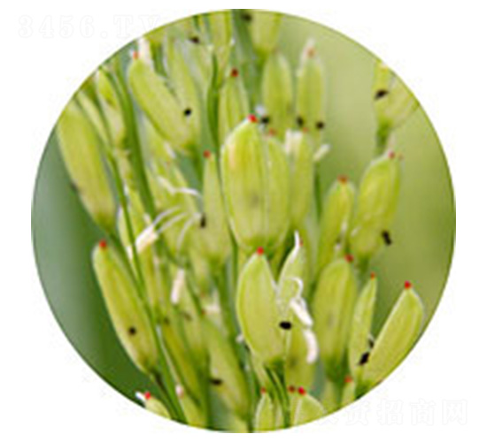 ̩����A-ˮ���N��-�t��N�I(y��)