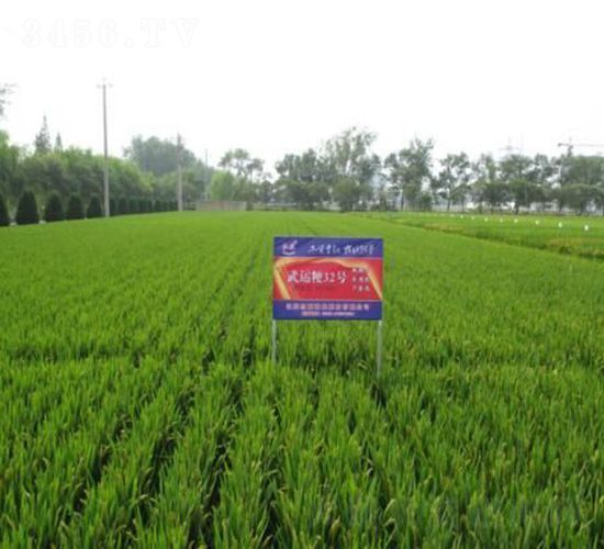 ���\(y��n)��32̖(h��o)-ˮ���N��-�t��N�I(y��)