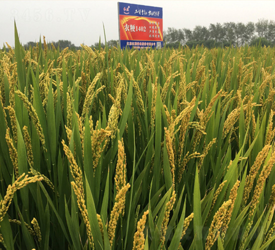 ̩�㾬1402-ˮ���N��-�t��N�I(y��)