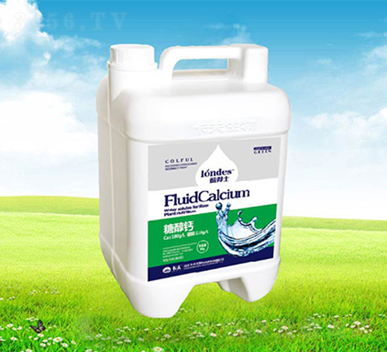 �{(l��n)��ʿ�Ǵ��}-����