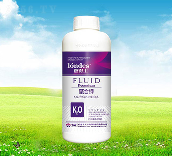 1300���{(l��n)��ʿ�ۺ��-����