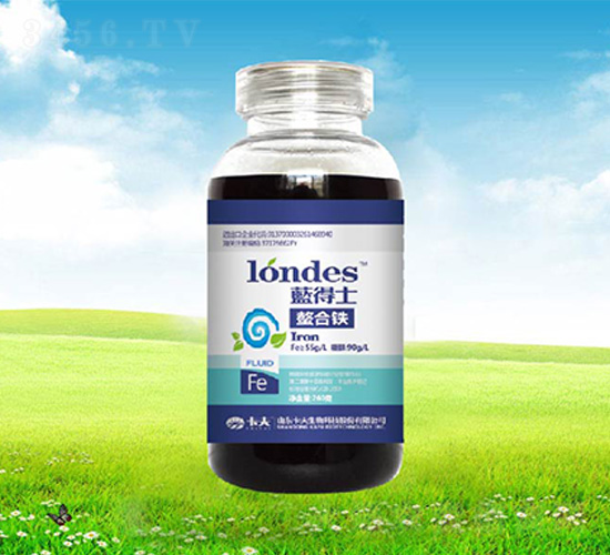 300���{��ʿ�����F-����