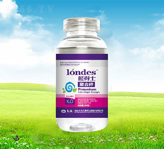 300���{(l��n)��ʿ�ۺ��-����