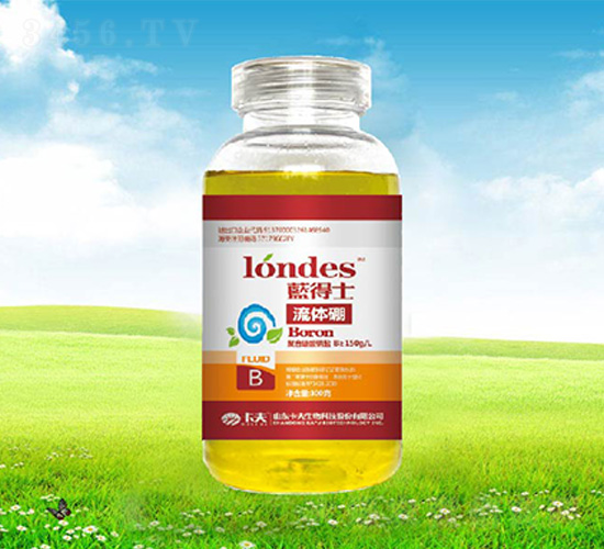 300���{(l��n)��ʿ���w��-����