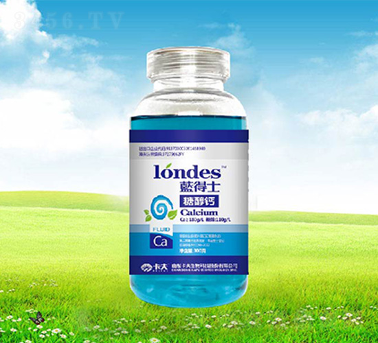 300���{(l��n)��ʿ�Ǵ��}-����