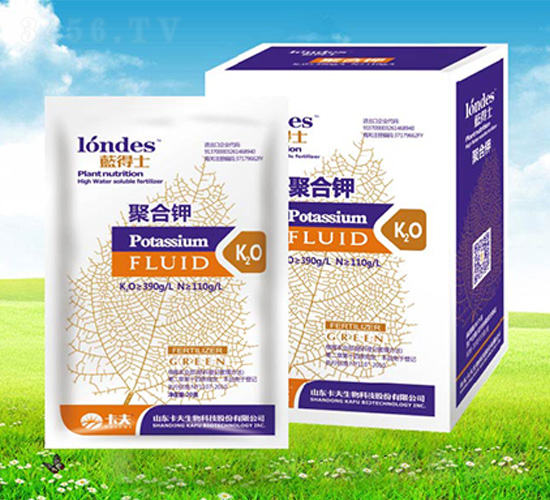 20���{(l��n)��ʿ�ۺ��-����