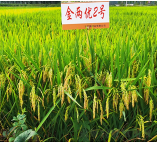 ���Ƀ�(y��u)2̖(h��o)-ˮ���N��-������