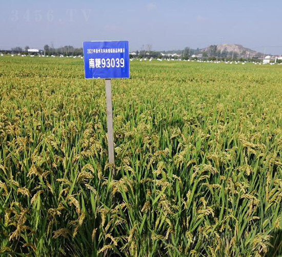 �Ͼ�93093-ˮ���N��-������