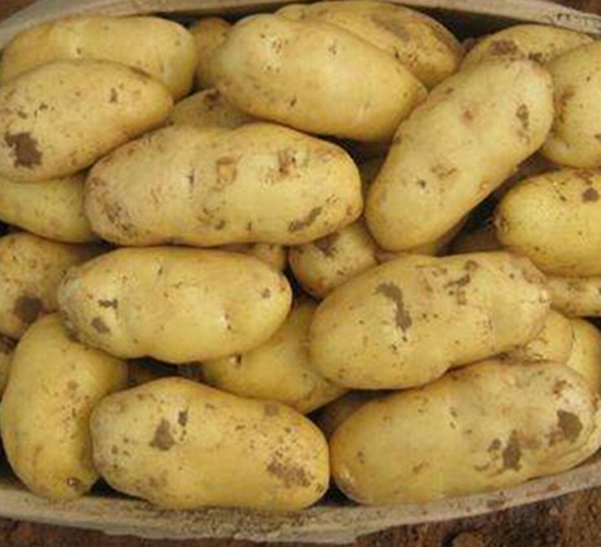 ������12̖(h��o)-�����N��-���S�N�I(y��)