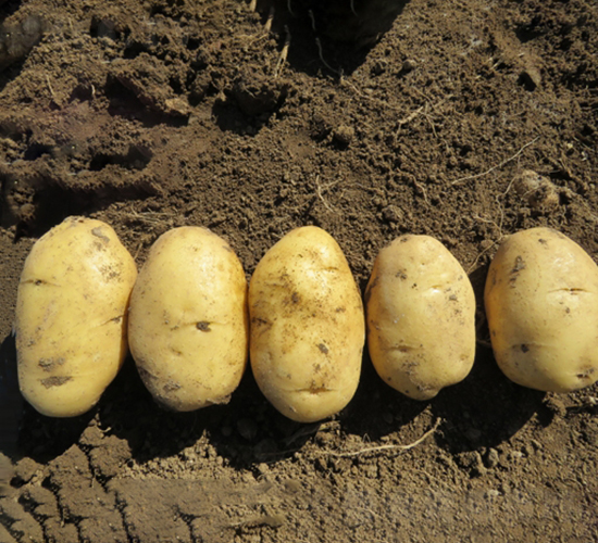 ���S��(y��u)�x-�����N��-���S�N�I(y��)