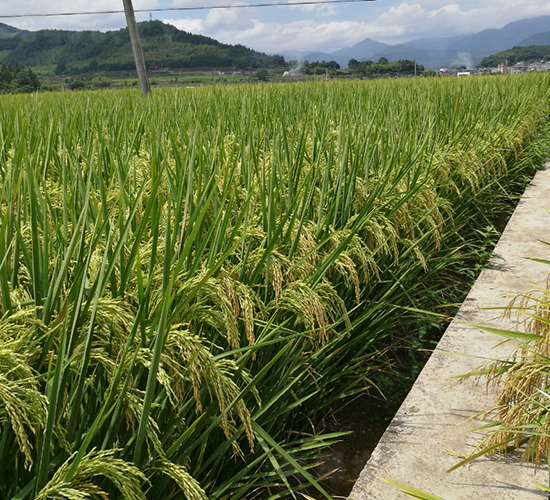 T�Ƀ�(y��u)164-ˮ���N��-�����N�I(y��)