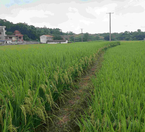 ���Ƀ�(y��u)164-ˮ���N��-�����N�I(y��)