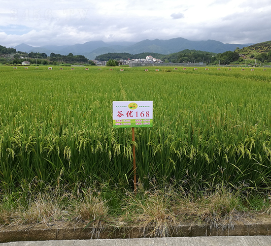 �ȃ�(y��u)168-ˮ���N��-�����N�I(y��)