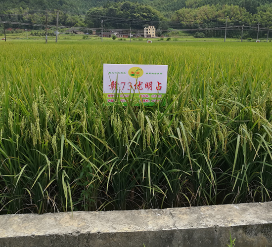 �M73��(y��u)��ռ-ˮ���N��-�����N�I(y��)