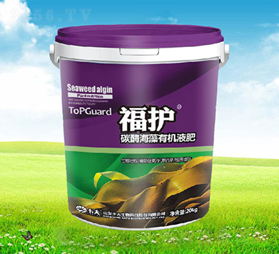 ���o̼ø�����ЙCҺ��-����