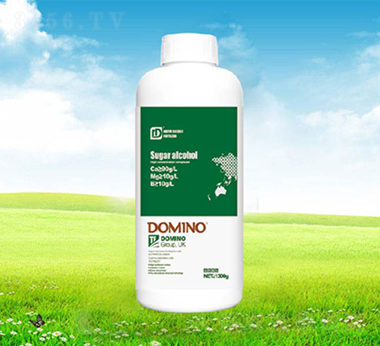 ���\�}�V�F-�����Z��ƿ��-����