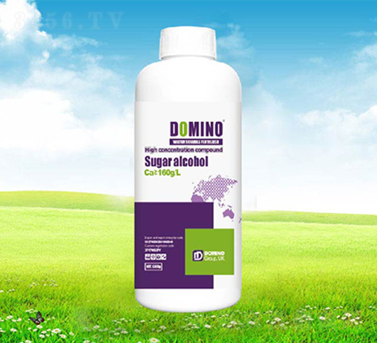 �����}-�����Z-����