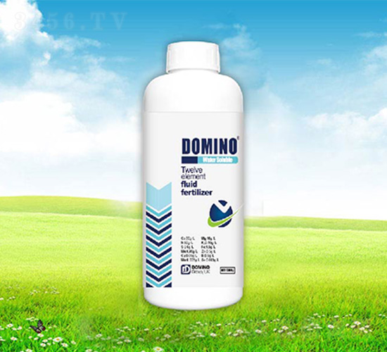 ʮ��Ԫ�����w��-�����Z-����